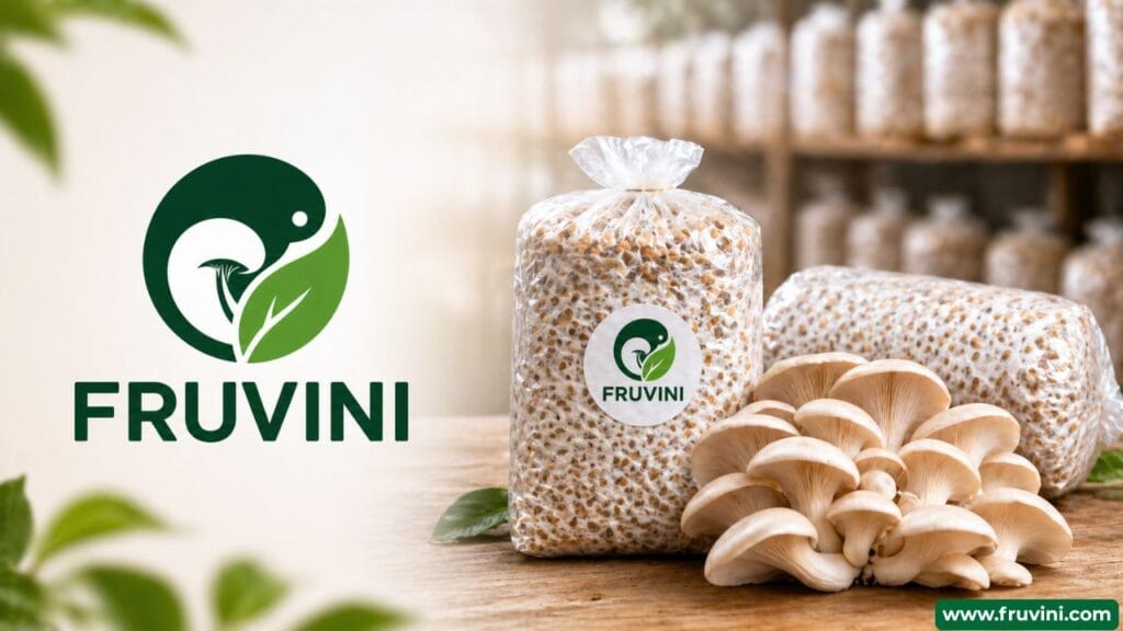 Fruvini Mushroom Spawn Quality Guide