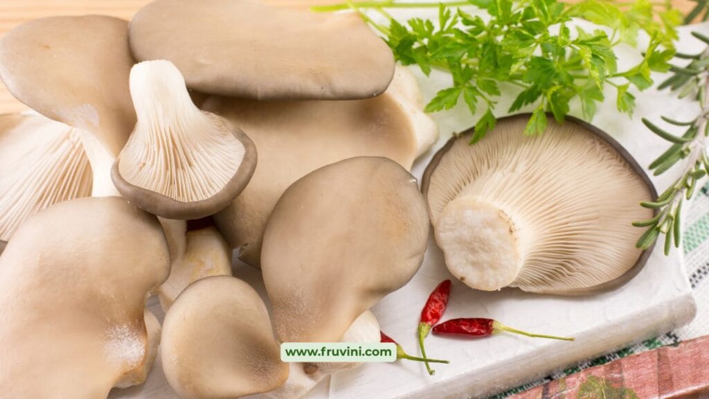 Oyster Mushroom Cultivation Guide for Beginners