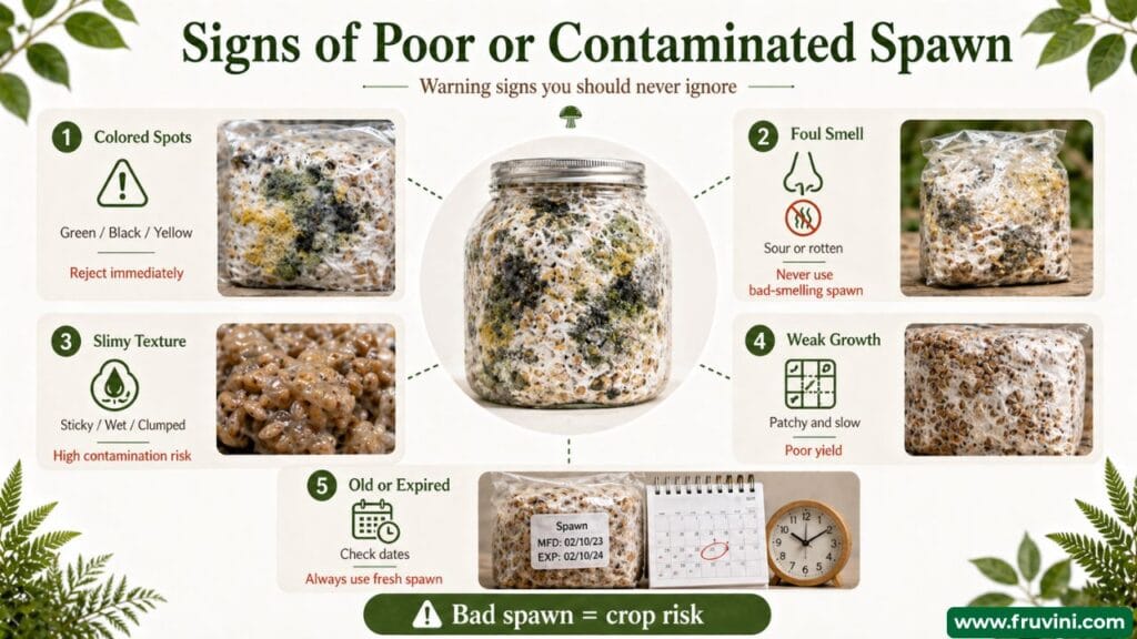 Signs of contaminated spawn