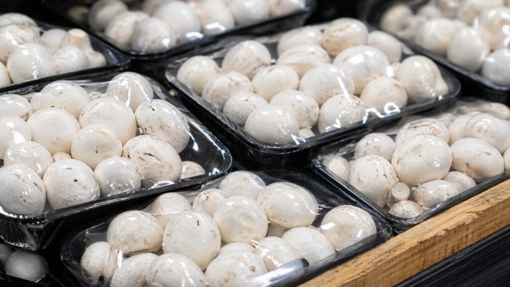 fresh button mushrooms packed for market sale