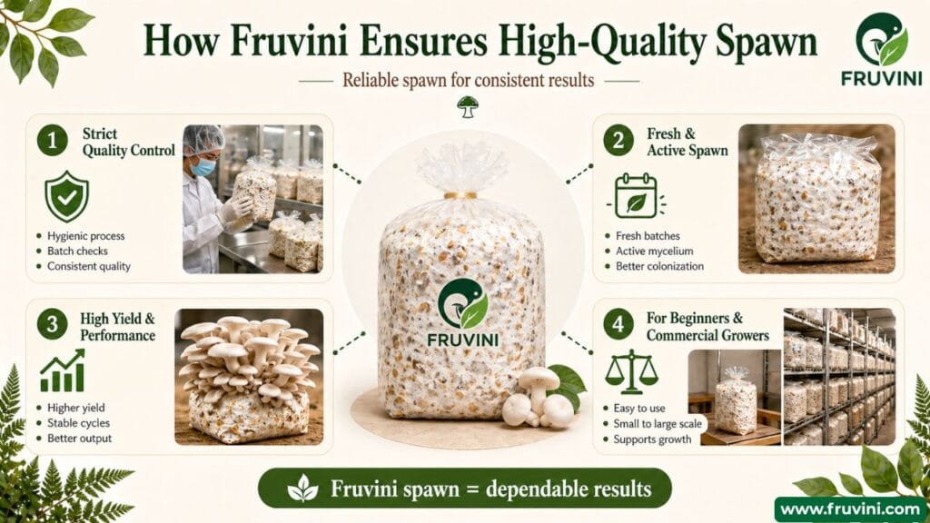 how fruvini ensures high quality spawn