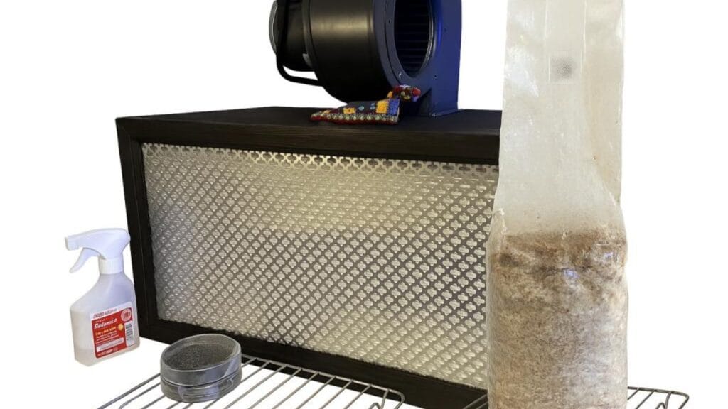 how to prevent contamination in oyster mushroom farming