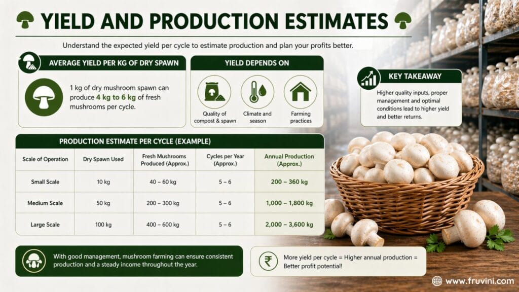 mushroom farming cost and production estimates