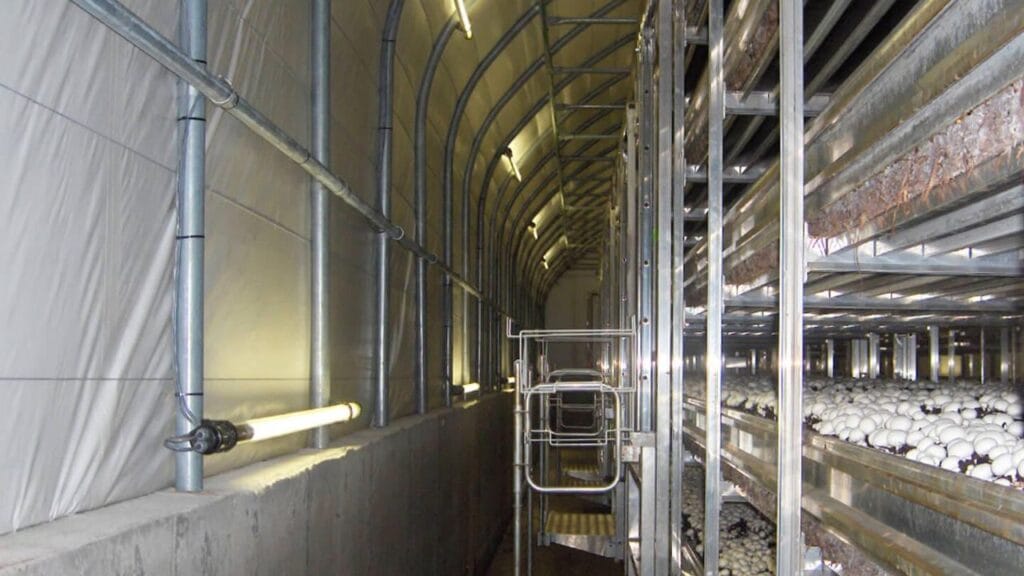 mushroom farming equipment India