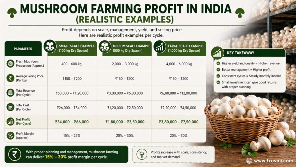 Mushroom Farming Profit Realistic Examples