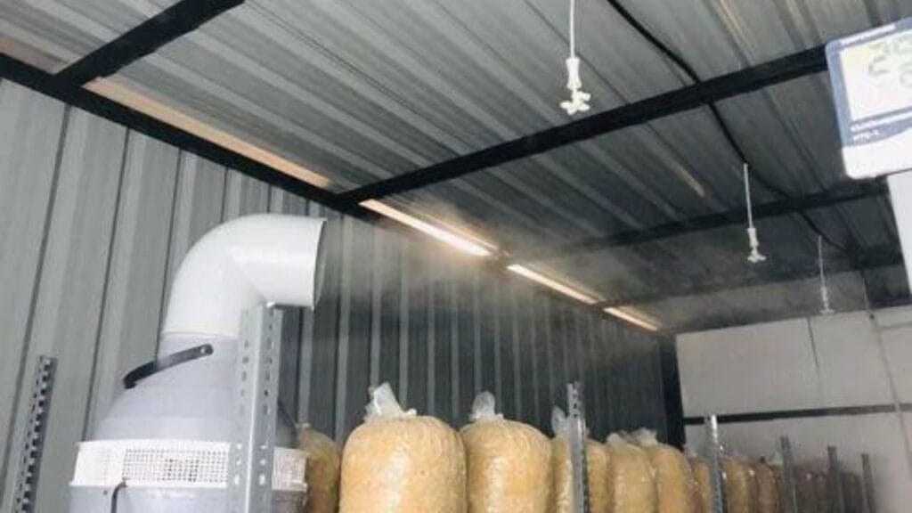 mushroom farming setup cost