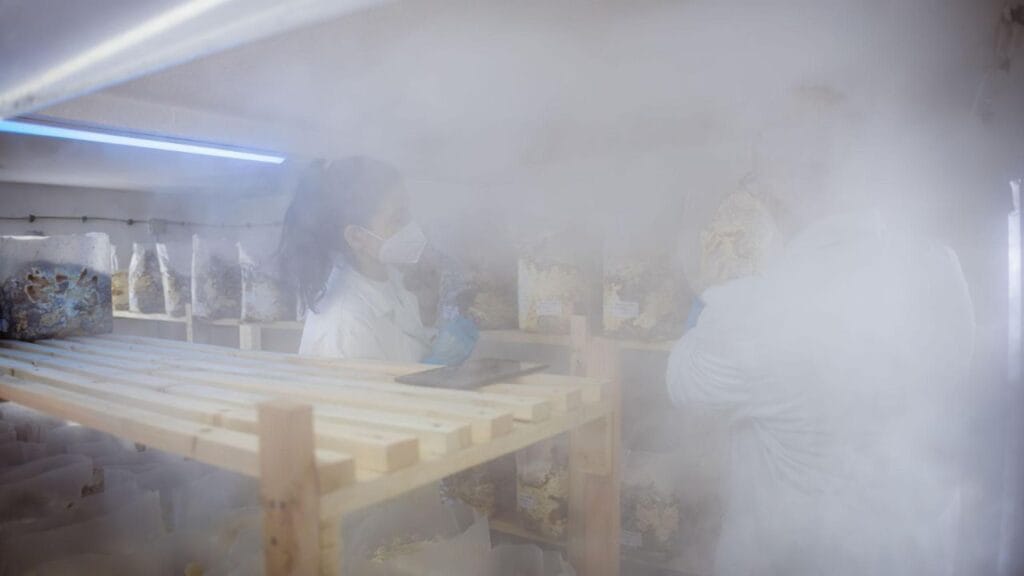 temperature and humidity control mushroom farming
