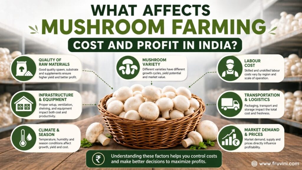 Effects of mushroom farming cost and profit in india