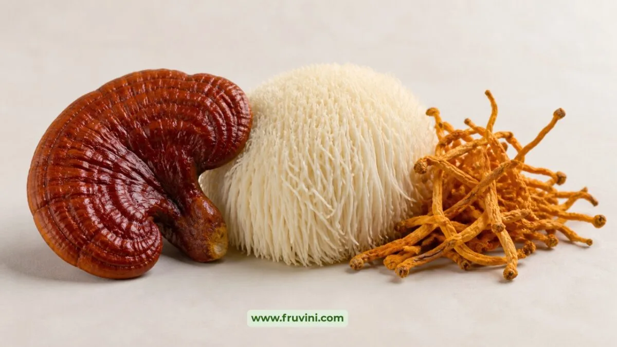 top medicinal mushrooms benefits
